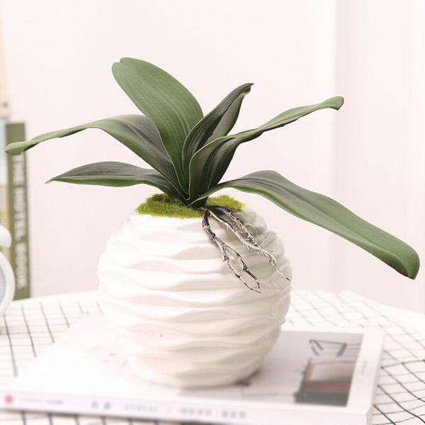 25cm artificial vases flower 5/6 leaves fake plant for home shop plastic decor
25cm artificial vases flower 5/6 leaves fake plant for home shop plastic decor