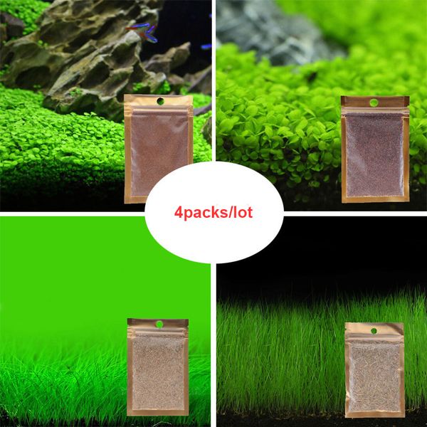 Decorações fifaworldcup_store
Decorações fifaworldcup_store