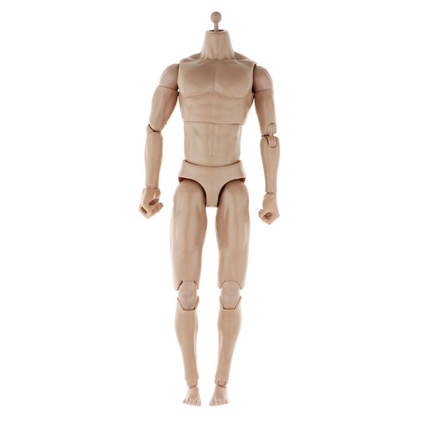 1:6 scale narrow shoulder action figure male muscular body toys doll for ttm18 ttm19 toys
1:6 scale narrow shoulder action figure male muscular body toys doll for ttm18 ttm19 toys