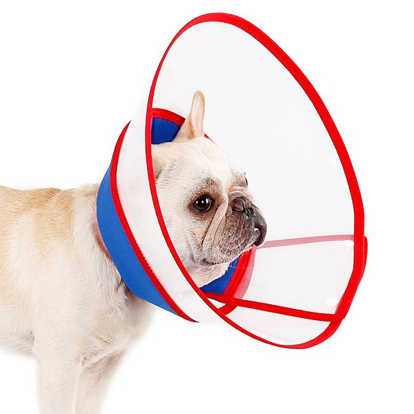 pet protective collar dog neck cone recovery cone collar for anti-bite lick surgery wound healing cat dogs health medical circle
pet protective collar dog neck cone recovery cone collar for anti-bite lick surgery wound healing cat dogs health medical circle