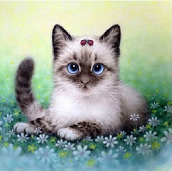 Full Square/Round Drill 5D DIY Diamond Painting "cat" Embroidery Cross Stitch Mosaic Home Decor Art Experience toys Gift A0748
Full Square/Round Drill 5D DIY Diamond Painting "cat" Embroidery Cross Stitch Mosaic Home Decor Art Experience toys Gift A0748