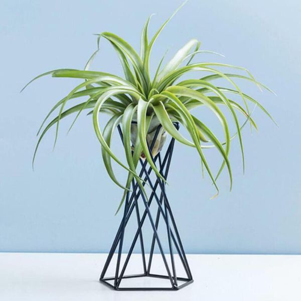 air plant holder geometric hollow wrought iron tillandsia holder table deskdecoration plant rack garden supplies
air plant holder geometric hollow wrought iron tillandsia holder table deskdecoration plant rack garden supplies