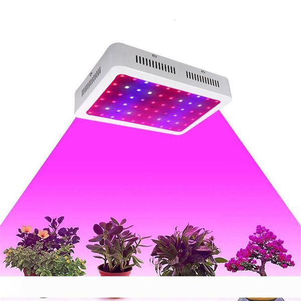 super discount dhl high cost-effective 1000w led grow light with 9-band full spectrum for hydroponic systems mini led lamp lighting
super discount dhl high cost-effective 1000w led grow light with 9-band full spectrum for hydroponic systems mini led lamp lighting