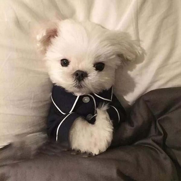 pets dogs clothing for small medium dogs pajamas chihuahua pet clothes fashion french clothes for dog bulldog puppy dog costume
pets dogs clothing for small medium dogs pajamas chihuahua pet clothes fashion french clothes for dog bulldog puppy dog costume