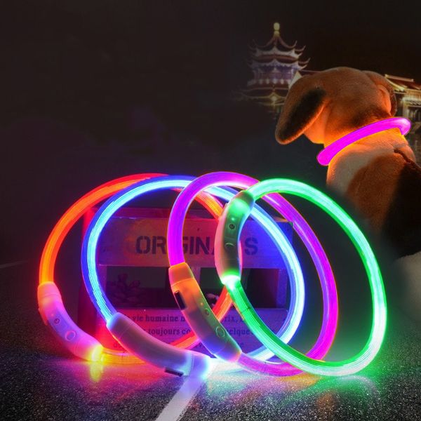 pet dog collar led glowing puppy collar night safty usb charging pet accessories dropshipping fas
pet dog collar led glowing puppy collar night safty usb charging pet accessories dropshipping fas