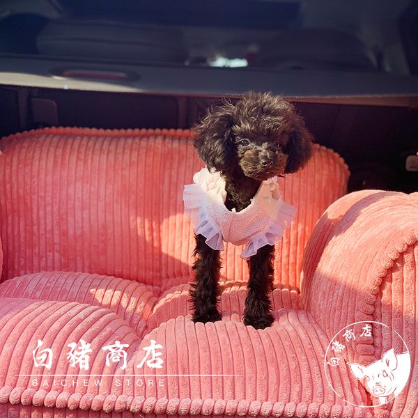 blue pet sofa cat nest dog couch sofa plush pet bed nest kitten beds for small dogs blanket cat house pink dog bed folding
blue pet sofa cat nest dog couch sofa plush pet bed nest kitten beds for small dogs blanket cat house pink dog bed folding