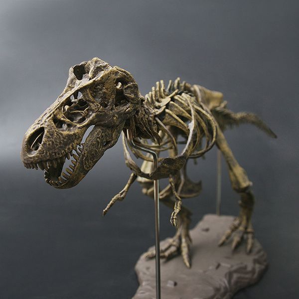 tukato large dinosaur assembled dinosaur bones children's toys tyrannosaurus rex skeleton skeleton animal model ornaments y190530
tukato large dinosaur assembled dinosaur bones children's toys tyrannosaurus rex skeleton skeleton animal model ornaments y190530