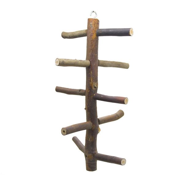 parrot hamster honeybee mole parrot toys bird toys bring skin raw wood climb the ladder stairs staircase elevated station bar
parrot hamster honeybee mole parrot toys bird toys bring skin raw wood climb the ladder stairs staircase elevated station bar