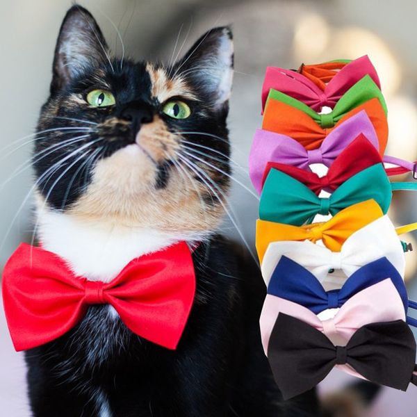 pet dog cat ожерелье регулируемый ремень для cat collar собаки аксессуары домашних собак bow tie щенок бабочки собак зоотоваров
pet dog cat ожерелье регулируемый ремень для cat collar собаки аксессуары домашних собак bow tie щенок бабочки собак зоотоваров