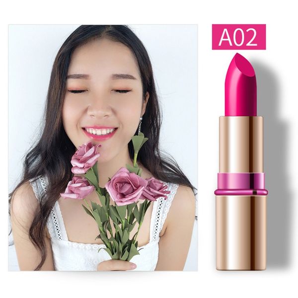makeup waterproof women lipstick cosmetics 9 colors matte makeup long lasting lipsticks
makeup waterproof women lipstick cosmetics 9 colors matte makeup long lasting lipsticks
