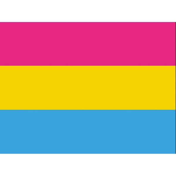 pansexuality pride flag 3x5 ft banner 100d 150x90cm polyester brass grommets custom print flag ,ing
pansexuality pride flag 3x5 ft banner 100d 150x90cm polyester brass grommets custom print flag ,ing