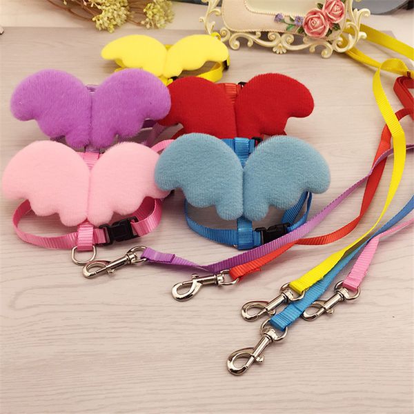 new cute collar pet dog necklace dog small angel wings traction pet supplies puppy dog accessories
new cute collar pet dog necklace dog small angel wings traction pet supplies puppy dog accessories