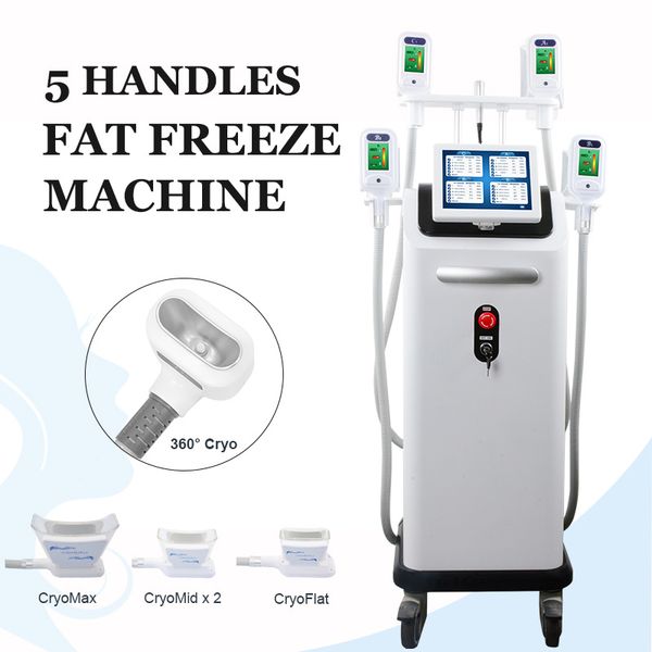 high end cryolipolysis cool body fat e machine 4 handpieces work together for thighs love handles slimming cryo double chin removal
high end cryolipolysis cool body fat e machine 4 handpieces work together for thighs love handles slimming cryo double chin removal