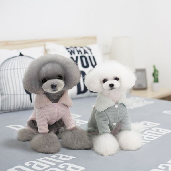 autumn and winter casual styles pet dog clothing comfortable fashion fur collar the four feet garments small dog clothing
autumn and winter casual styles pet dog clothing comfortable fashion fur collar the four feet garments small dog clothing