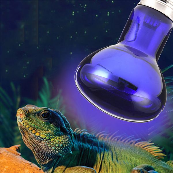 e27 amphibian thermal light uvb purple night heating lamp snakes lizards tortoise reptile amphibian warm lamp bulbs dropshipping
e27 amphibian thermal light uvb purple night heating lamp snakes lizards tortoise reptile amphibian warm lamp bulbs dropshipping