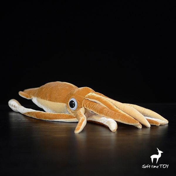 stuffed animal soft toys king squid dolls real life plush marine life toy baby cute birthday gifts
stuffed animal soft toys king squid dolls real life plush marine life toy baby cute birthday gifts