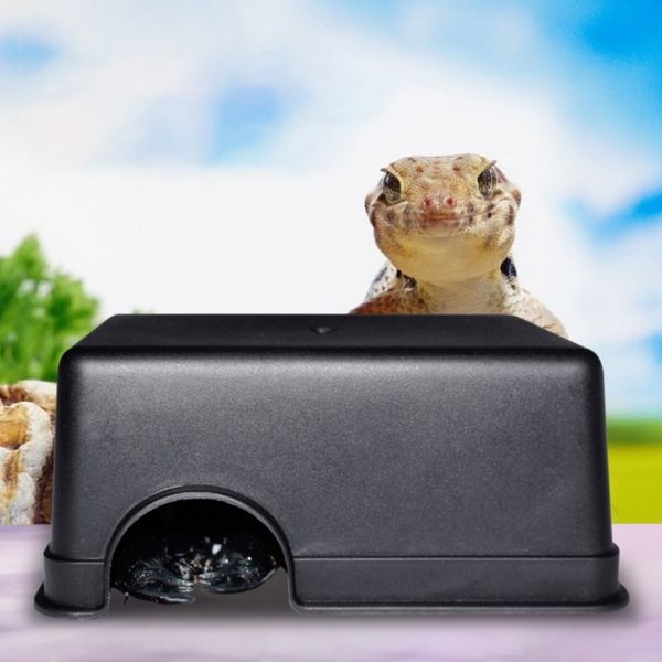 snake supplies centipede reptile box hiding case hole water feeder spider turtle 2019 reptile supplies
snake supplies centipede reptile box hiding case hole water feeder spider turtle 2019 reptile supplies