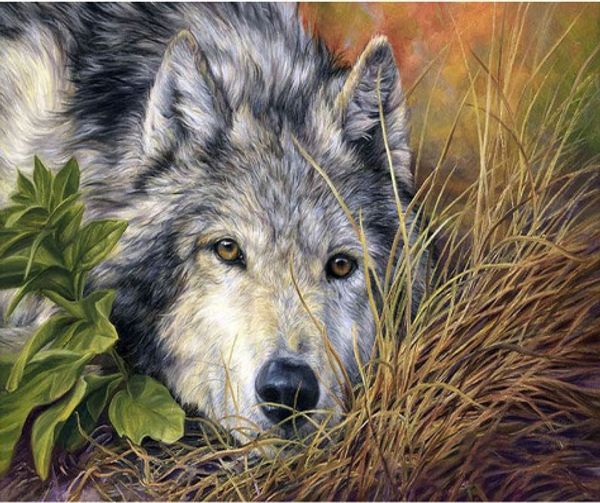 Full Square/Round Drill 5D DIY Diamond Painting "wolf" Embroidery Cross Stitch Mosaic Home Decor Art Experience toys Gift A0424
Full Square/Round Drill 5D DIY Diamond Painting "wolf" Embroidery Cross Stitch Mosaic Home Decor Art Experience toys Gift A0424
