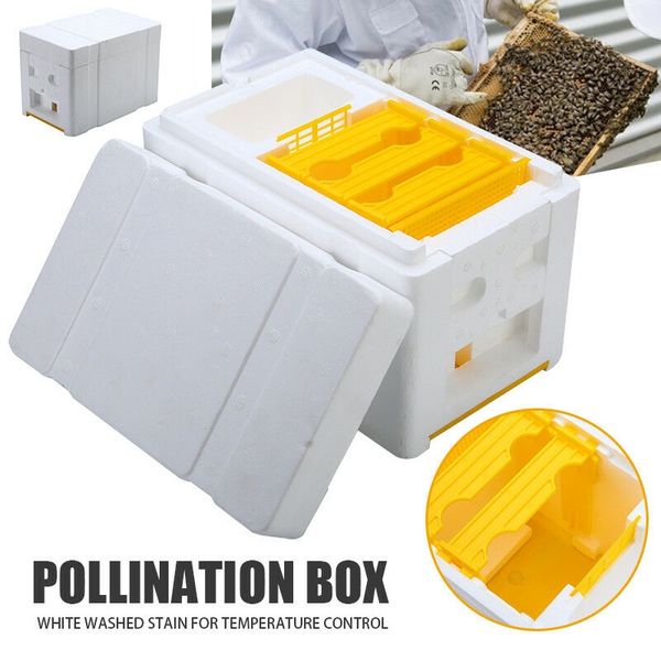bee hive beekeeping king box pollination box foam frames beekeeping tool kit other garden tools
bee hive beekeeping king box pollination box foam frames beekeeping tool kit other garden tools