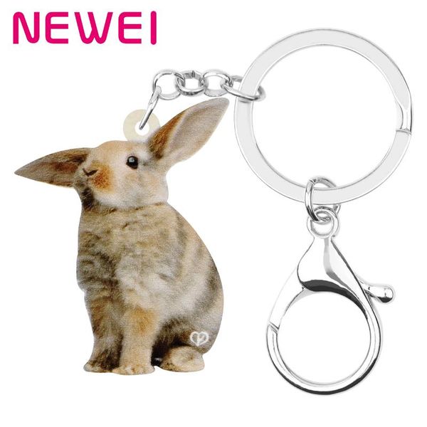 newei acrylic brown easter hare keychains keyring animal key chain jewelry for women girl classic bag car accessory, Silver
newei acrylic brown easter hare keychains keyring animal key chain jewelry for women girl classic bag car accessory, Silver