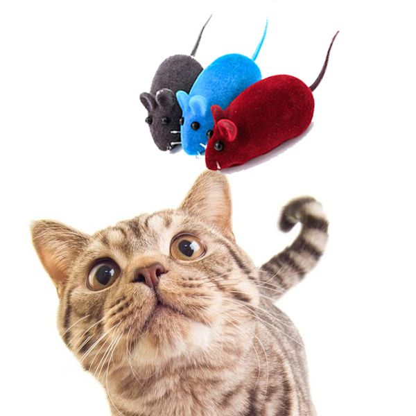 1pc interactive sound plush rubber vinyl mouse pet cat realistic sound toys flocking mouse funny cat toys random colors pet tool
1pc interactive sound plush rubber vinyl mouse pet cat realistic sound toys flocking mouse funny cat toys random colors pet tool