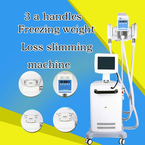2 in 1 cryolipolysis fat ing machine 3 cryo handle shockwave therapy slimming shock wave weight loss machine
2 in 1 cryolipolysis fat ing machine 3 cryo handle shockwave therapy slimming shock wave weight loss machine