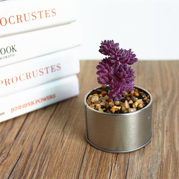 simulated potted plants succulent bonsai plastic creative decor table decor home office artificial flower
simulated potted plants succulent bonsai plastic creative decor table decor home office artificial flower