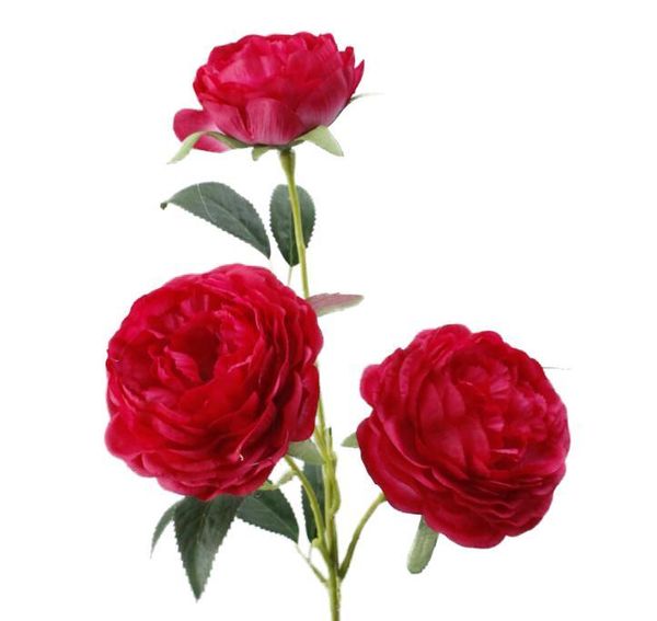 emulation flower 3 peony, false flower, thousand layers of beauty tea, home decoration simulation plant wedding flower
emulation flower 3 peony, false flower, thousand layers of beauty tea, home decoration simulation plant wedding flower