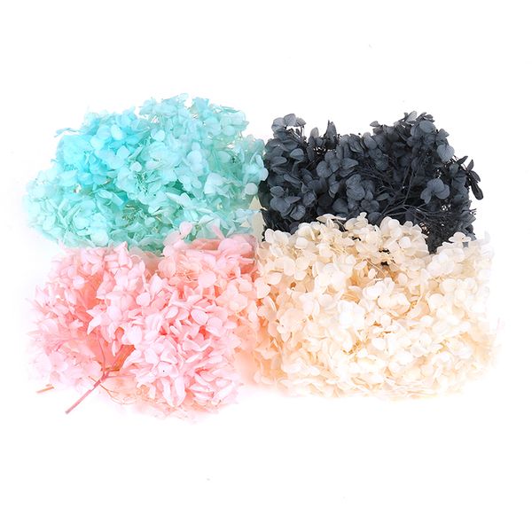 10g/lot natural fresh preserved flowers dried hydrangea flower head for diy real eternal life flowers material
10g/lot natural fresh preserved flowers dried hydrangea flower head for diy real eternal life flowers material