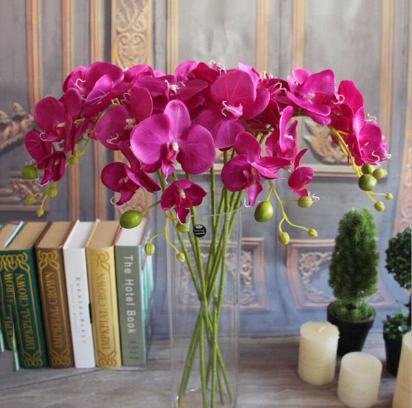 новй дизайн 78м / 30,7 pu phalaenopsis real еноѬнй бабока оѬиде подделне оѬидеи ик
новй дизайн 78м / 30,7 pu phalaenopsis real еноѬнй бабока оѬиде подделне оѬидеи ик