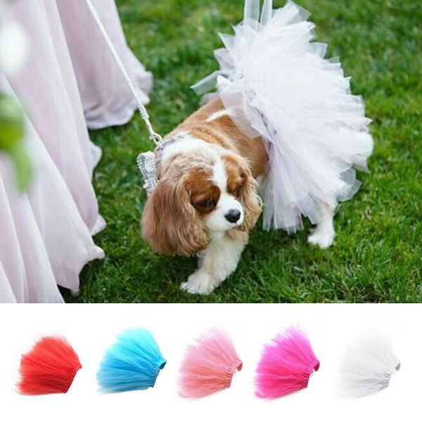 pet tutu skirt for dogs and cats birthday parties event dress celebrations stain cosplay costumes for hallowee
pet tutu skirt for dogs and cats birthday parties event dress celebrations stain cosplay costumes for hallowee
