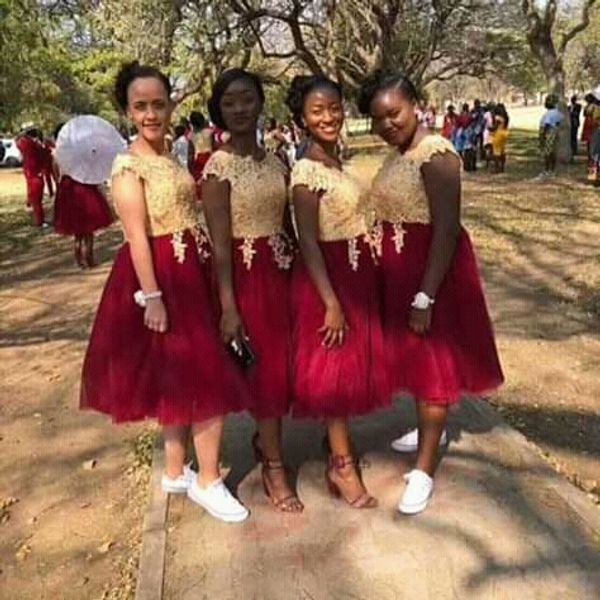 fall 2019 african bridesmaid knee dresses dresses gold lace bodice burgundy tulle skirt wedding guest dress, White;pink
fall 2019 african bridesmaid knee dresses dresses gold lace bodice burgundy tulle skirt wedding guest dress, White;pink