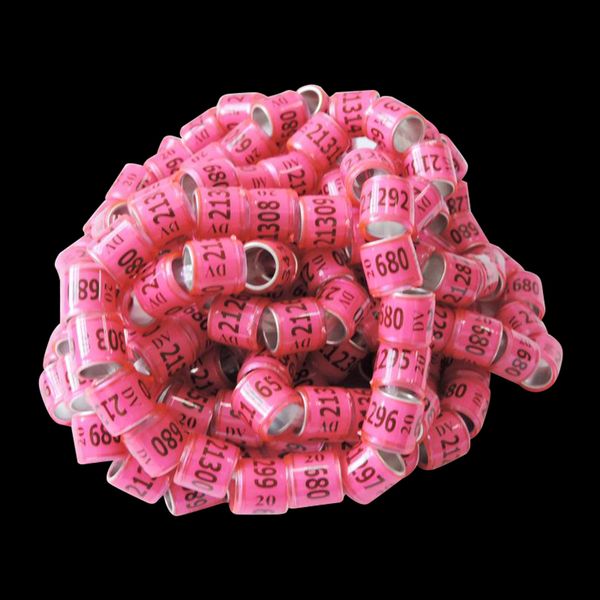 100pcs/lot 8mm 2020 plastic aluminum racing pigeon leg band number region
100pcs/lot 8mm 2020 plastic aluminum racing pigeon leg band number region