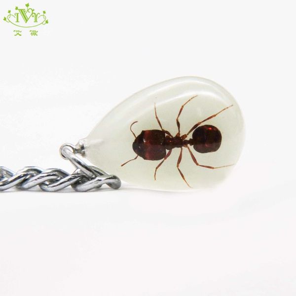 mini insect water drop real glow in the dark insect ant art jewelry key rings bag charm llaveros para hombre custom keychain ivr, Silver
mini insect water drop real glow in the dark insect ant art jewelry key rings bag charm llaveros para hombre custom keychain ivr, Silver