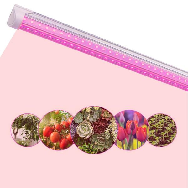 led grow light full spectrum high output linkable design t8 integrated bulb+fixture plant lights for indoor plants 2ft-8ft v shape tube
led grow light full spectrum high output linkable design t8 integrated bulb+fixture plant lights for indoor plants 2ft-8ft v shape tube