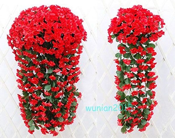 ainest 1 гѬозди икђвенного violet bracketplant виие garland лоза веок нового кѬанй
ainest 1 гѬозди икђвенного violet bracketplant виие garland лоза веок нового кѬанй