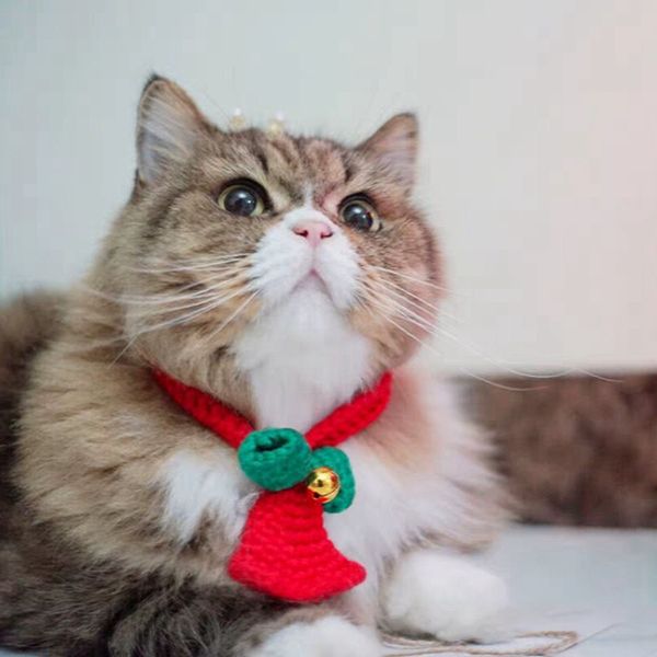 christmas pet dog collars dog bow tie cat collars for small big dogs cats festival costume decor pets necklace
christmas pet dog collars dog bow tie cat collars for small big dogs cats festival costume decor pets necklace