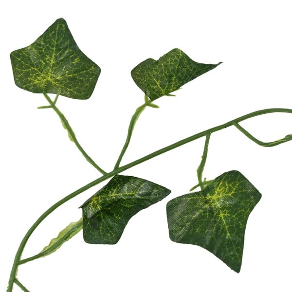 2m 6.6 feet artificial ivy fake foliage leaf flowers plants garland garden decoration 2m (sweet potato leaf) lint rollers brushes
2m 6.6 feet artificial ivy fake foliage leaf flowers plants garland garden decoration 2m (sweet potato leaf) lint rollers brushes