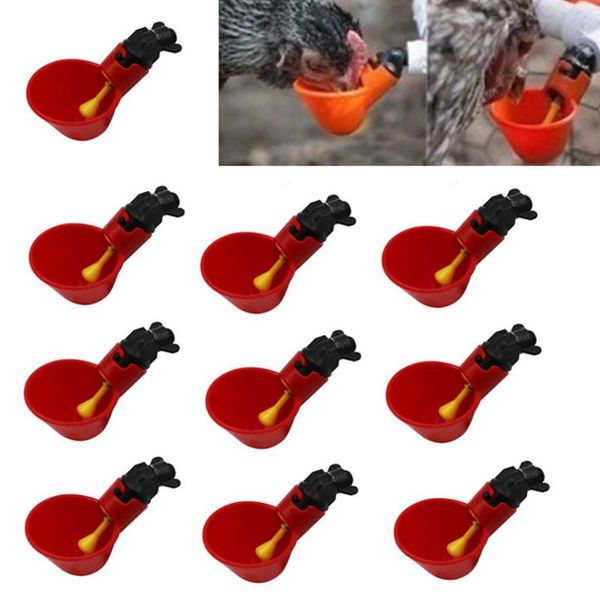 10pcs feed automatic bird coop poultry chicken fowl drinker water drinking cup for chicken feeder fowl cook bowl31
10pcs feed automatic bird coop poultry chicken fowl drinker water drinking cup for chicken feeder fowl cook bowl31