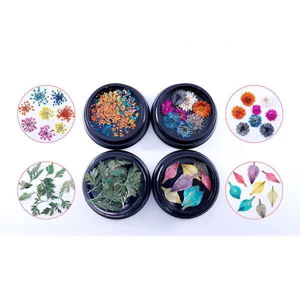 1 set/4boxes 3d decorations nail art flower natural dried flowers daisy decor real preserved floral leaf mixed dry accessories
1 set/4boxes 3d decorations nail art flower natural dried flowers daisy decor real preserved floral leaf mixed dry accessories