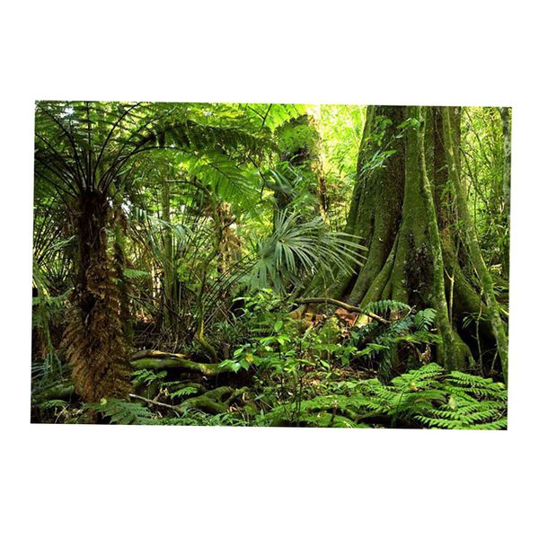 hd 3d image bark - root - frost - stone aquarium background poster fish tank decor landscape
