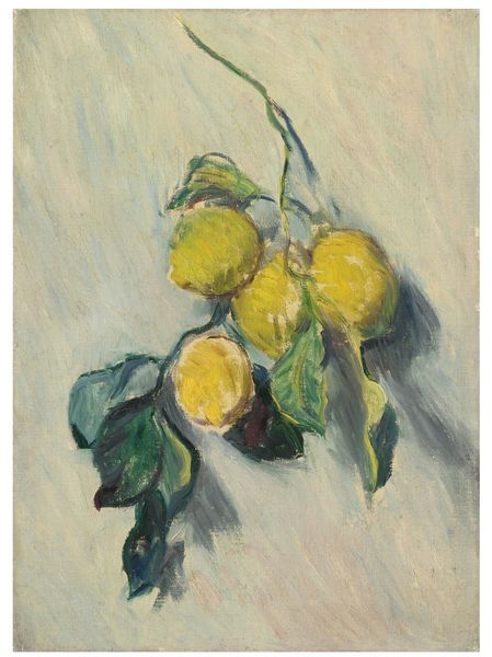 claude monet branch of lemons home wall art decor handpainted &hd print oil painting on canvas wall art canvas pictures 190828
claude monet branch of lemons home wall art decor handpainted &hd print oil painting on canvas wall art canvas pictures 190828