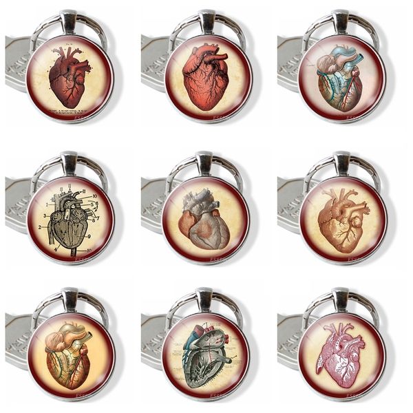 cardiac specimen picture keychain horro funny heart organ glass cabochon keychain metal jewelry handmade gift to nurse doctor, Silver
cardiac specimen picture keychain horro funny heart organ glass cabochon keychain metal jewelry handmade gift to nurse doctor, Silver