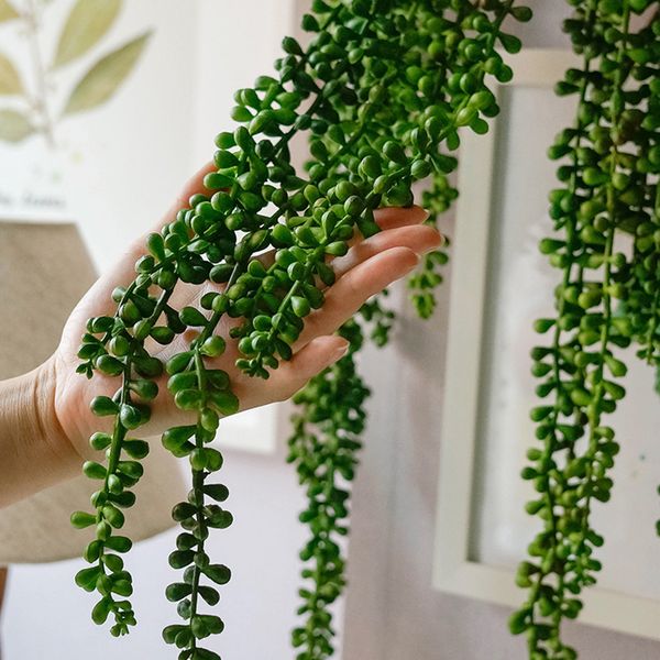 72cm simulation succulents party supplies lifelike wall hanging fake soft artificial plant string home decor l flexible
72cm simulation succulents party supplies lifelike wall hanging fake soft artificial plant string home decor l flexible