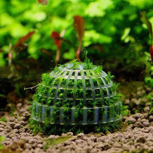 plastic aquarium mineral stone float bio moss ball plant cultivation balls fish tank aquatic pet house decorations ornaments
plastic aquarium mineral stone float bio moss ball plant cultivation balls fish tank aquatic pet house decorations ornaments