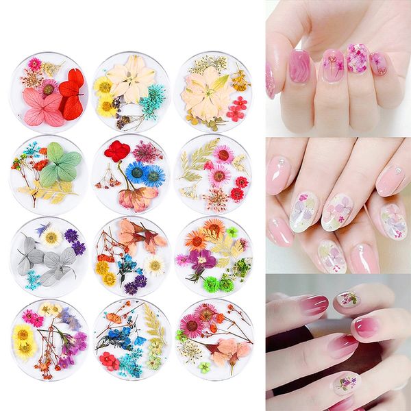 Dried Flowers Petals Nail Art Flower Nail Lace Dried Flowers Petals Decorations Manicure Accessories
