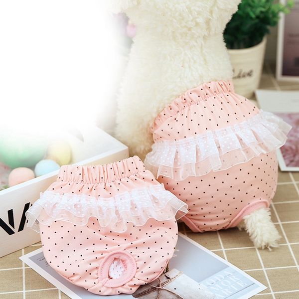 pet washable belly bands for dog women premium cotton female dog reusable underpants
pet washable belly bands for dog women premium cotton female dog reusable underpants