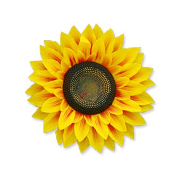 34pcs d sunflower wall decorations imitation floral decoration floral artwork living room bedroom layout wall stickers
34pcs d sunflower wall decorations imitation floral decoration floral artwork living room bedroom layout wall stickers