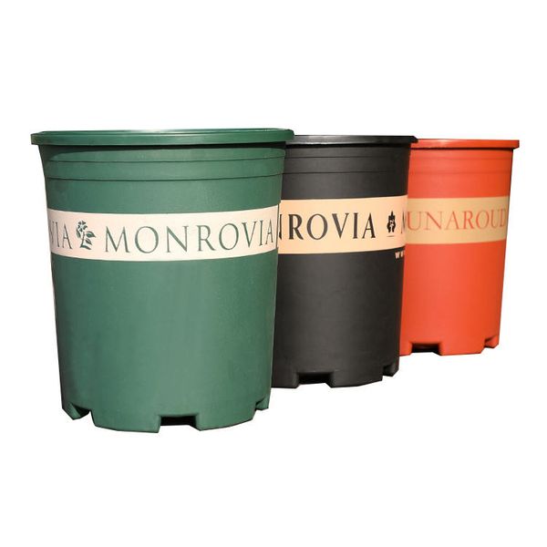 new chunky root-controlled potted round rose black planting seedling thickening flower plastic gallon pot gallon pot bottom plate
new chunky root-controlled potted round rose black planting seedling thickening flower plastic gallon pot gallon pot bottom plate