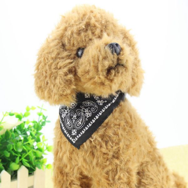 designer pet dog collars bandana pattern triangle scarf puppy dog collars 2020 pet cat supplies wholesale neckerchief dog accessories
designer pet dog collars bandana pattern triangle scarf puppy dog collars 2020 pet cat supplies wholesale neckerchief dog accessories
